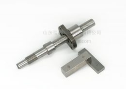 0801 ballscrew